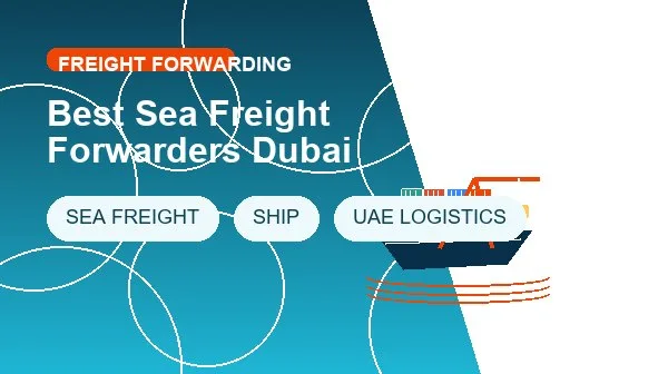 Best Sea Freight Forwarders Dubai logistics process image