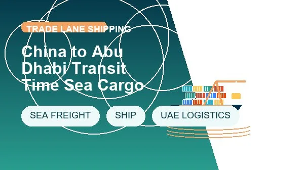 China to Abu Dhabi Transit Time Sea Cargo logistics process image