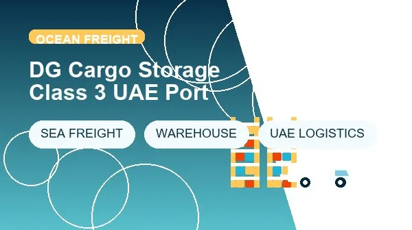 DG Cargo Storage Class 3 UAE Port logistics process image