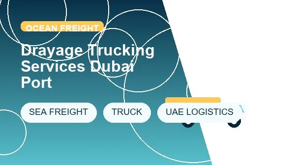 Drayage Trucking Services Dubai Port logistics process image