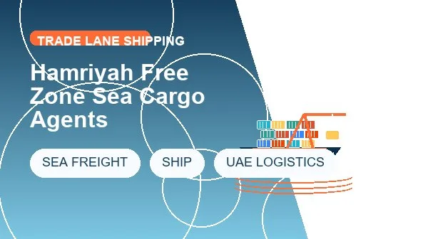 Hamriyah Free Zone Sea Cargo Agents logistics process image