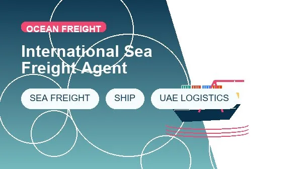 International Sea Freight Agent cargo handling image