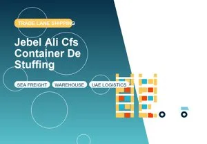 Jebel Ali Cfs Container De Stuffing thumbnail