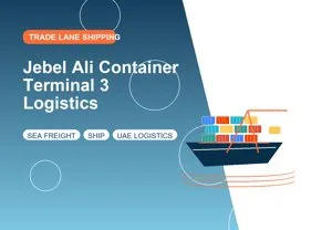 Jebel Ali Container Terminal 3 Logistics thumbnail