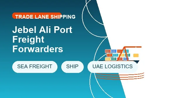 Jebel Ali Port Freight Forwarders logistics process image