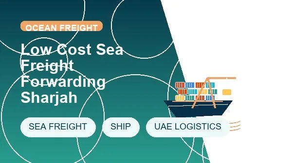 Low Cost Sea Freight Forwarding Sharjah logistics process image