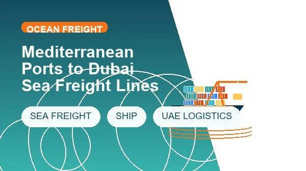 Mediterranean Ports to Dubai Sea Freight Lines cargo handling image