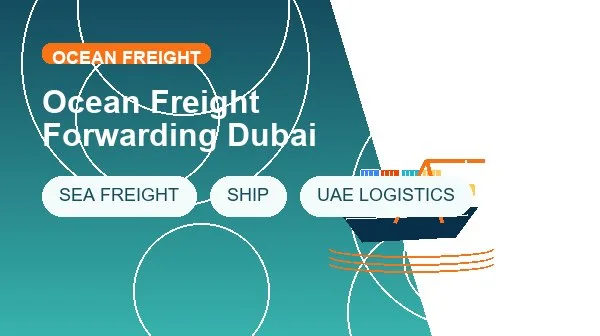 Ocean Freight Forwarding Dubai logistics process image