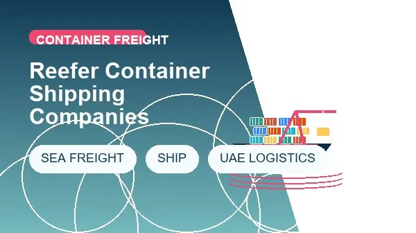 Reefer Container Shipping Companies logistics process image