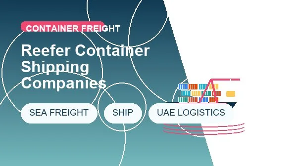 Reefer Container Shipping Companies cargo handling image