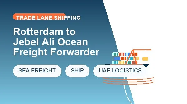 Rotterdam to Jebel Ali Ocean Freight Forwarder logistics process image