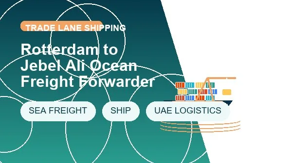 Rotterdam to Jebel Ali Ocean Freight Forwarder cargo handling image