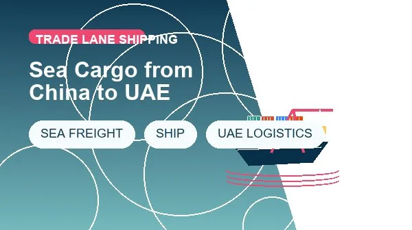 Sea Cargo from China to UAE cargo handling image