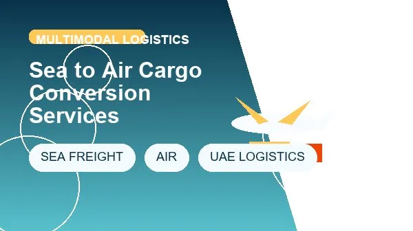 Sea to Air Cargo Conversion Services logistics process image