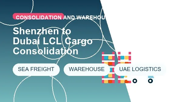 Shenzhen to Dubai LCL Cargo Consolidation cargo handling image