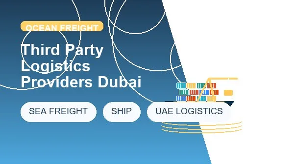 Third Party Logistics Providers Dubai logistics process image
