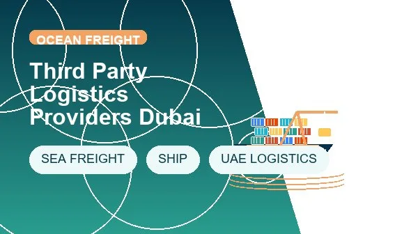 Third Party Logistics Providers Dubai cargo handling image