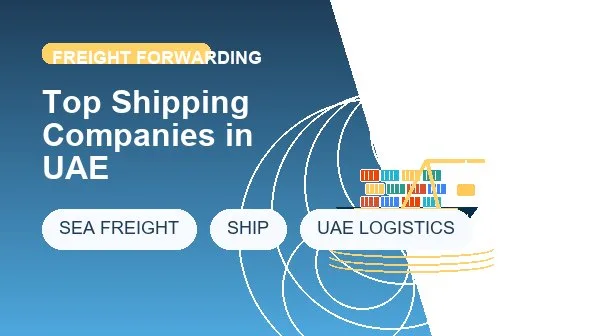 Top Shipping Companies in UAE logistics process image