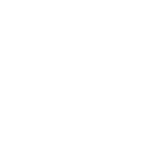 Fast delivery icon